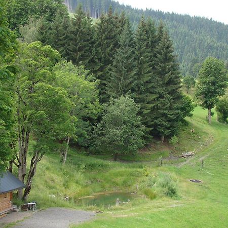 Unterholzhof Βίλα Piesendorf Εξωτερικό φωτογραφία