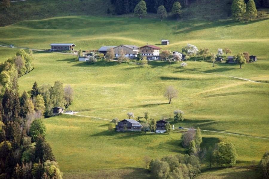 Unterholzhof Βίλα Piesendorf Εξωτερικό φωτογραφία