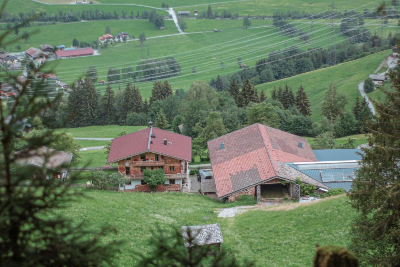 Unterholzhof Βίλα Piesendorf Εξωτερικό φωτογραφία