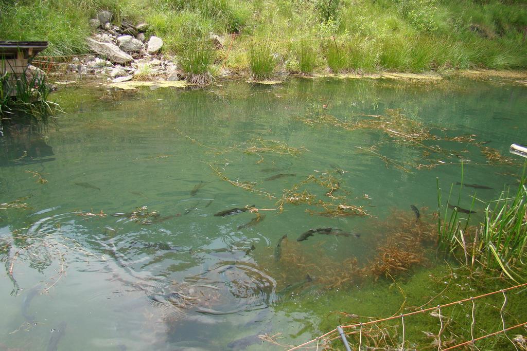 Unterholzhof Βίλα Piesendorf Εξωτερικό φωτογραφία